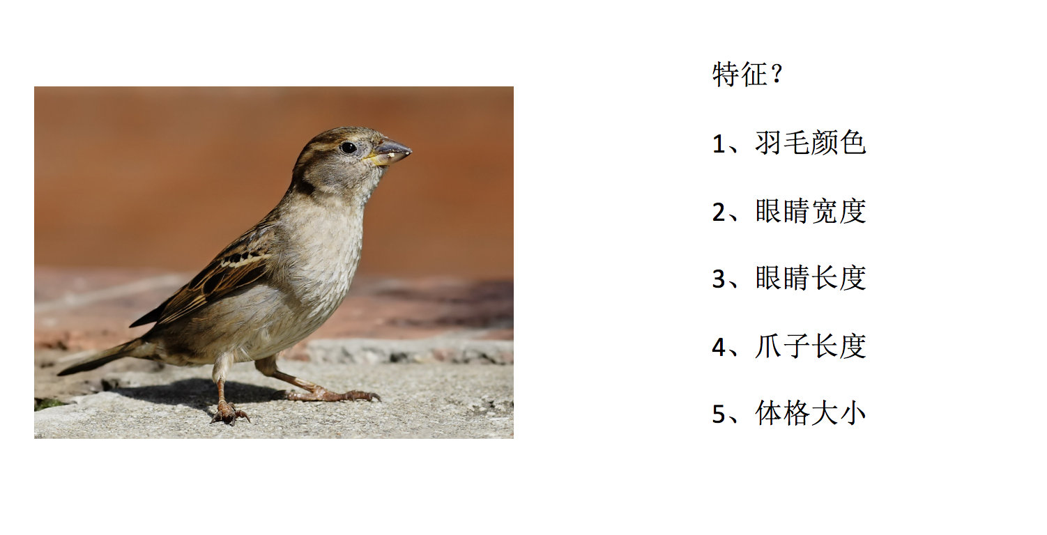 image-20230711160045487