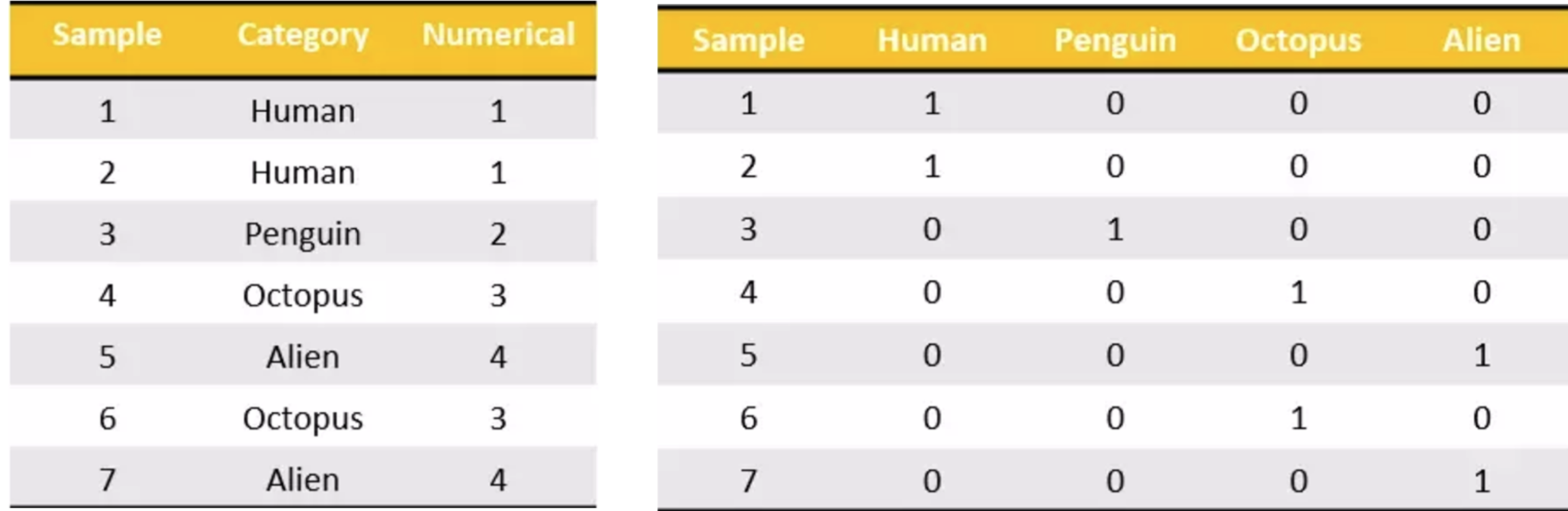 image-20190316224151504